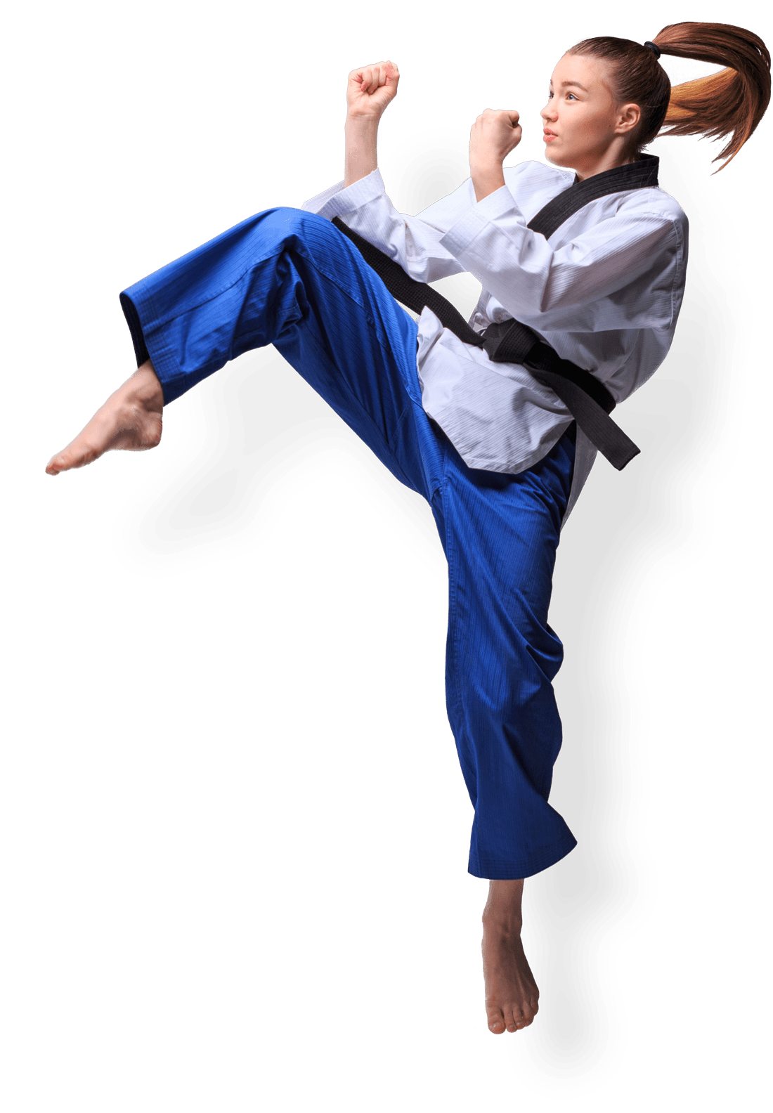 Main image of Takayama Ryu