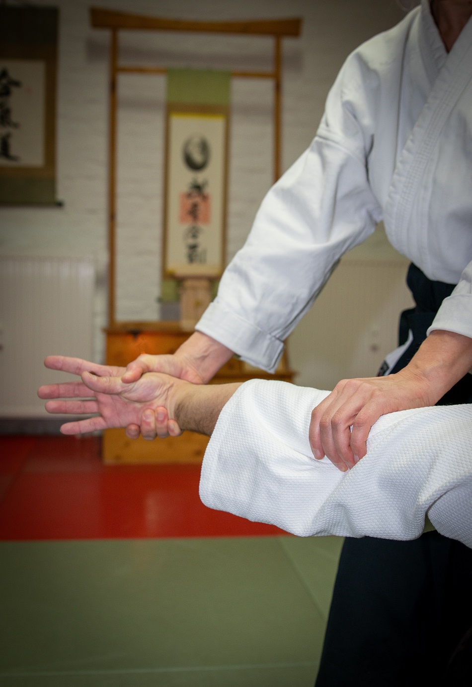 Main image of Takemusu Aikido Magdeburg