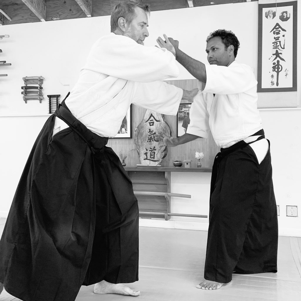 Main image of Takemusu Aikido of Sebastopol