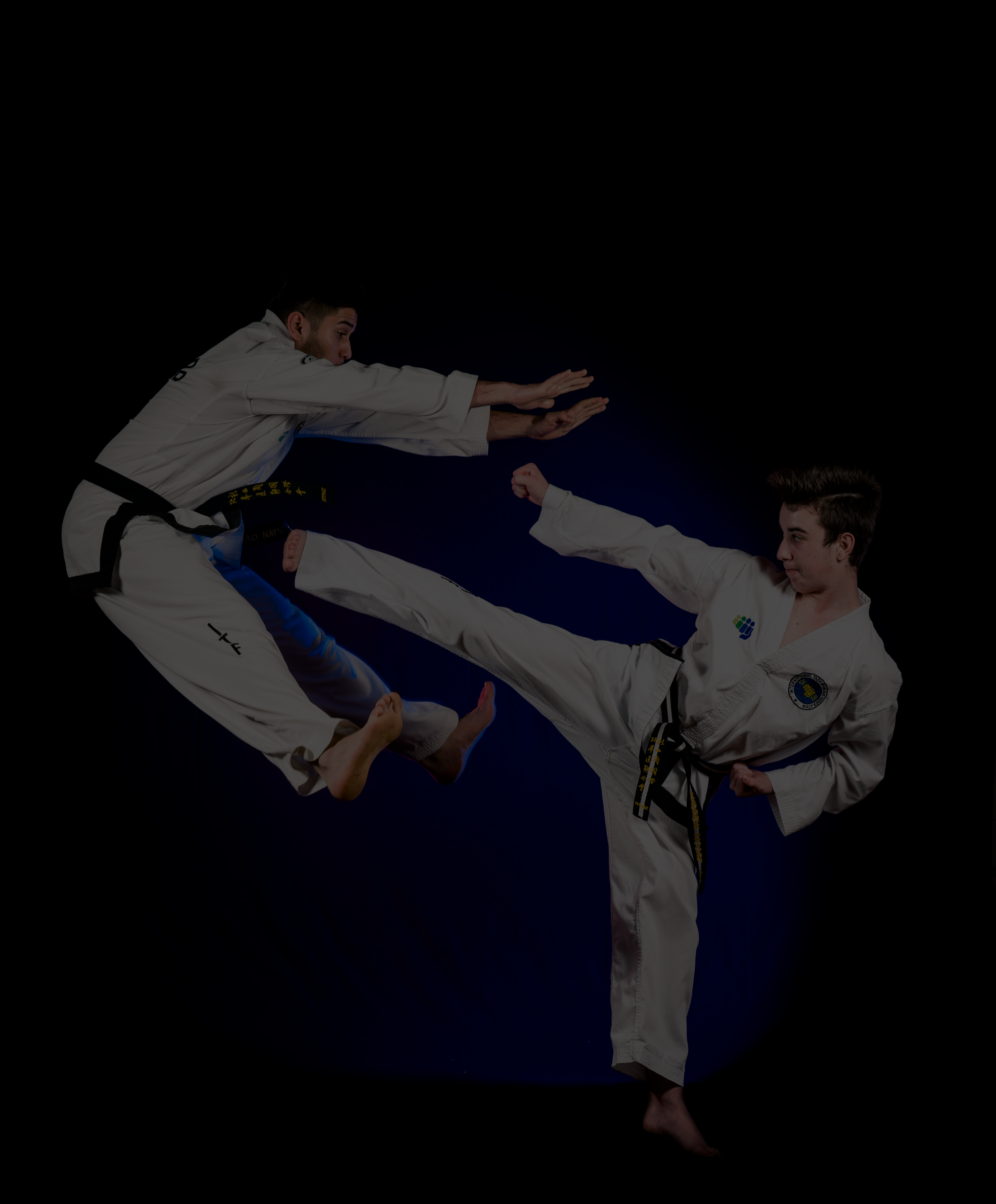 Main image of Tamaki Taekwon-Do Academy