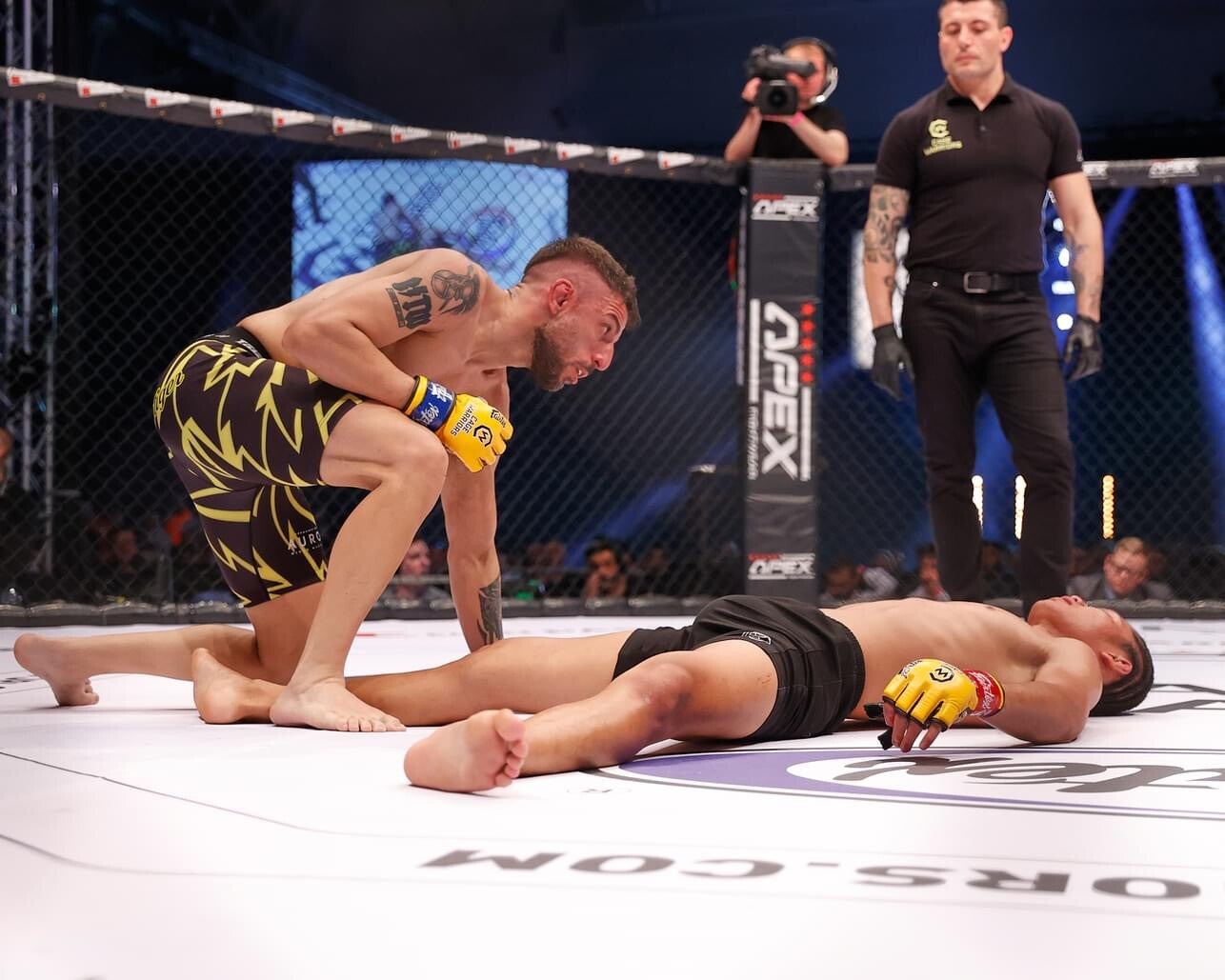 Main image of Tana delle Tigri MMA