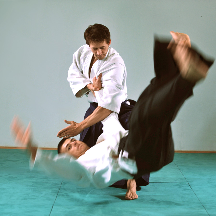 Main image of Tanden Dojo
