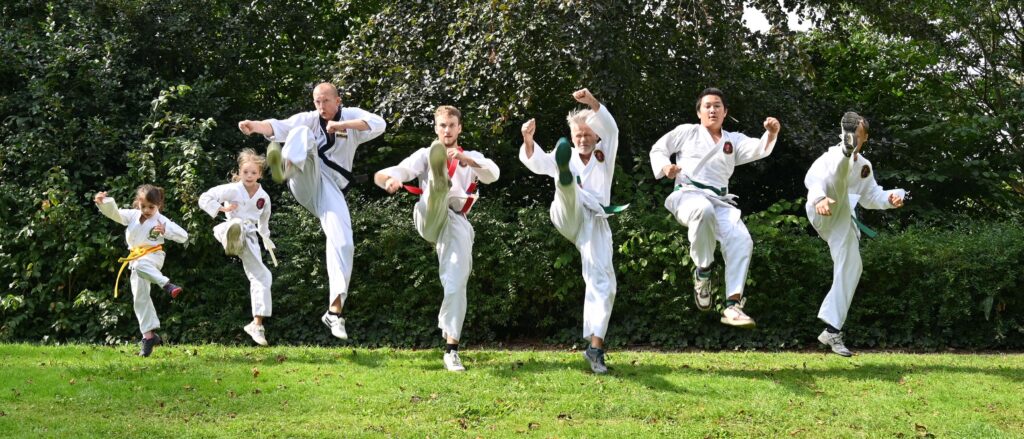 Main image of Tang Soo Do Chon Kyong Schoonhoven / Nieuwpoort