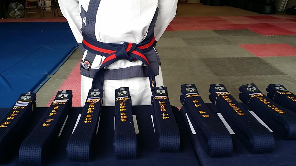 Main image of Tang Soo Do Masters Alliance