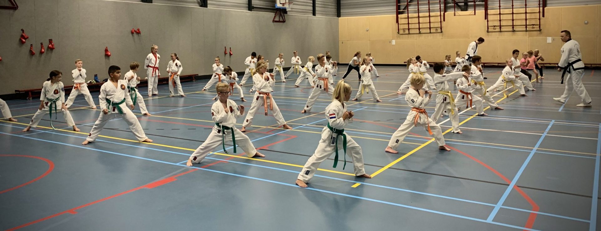 Main image of Tang Soo Do Mudjeok e Yong