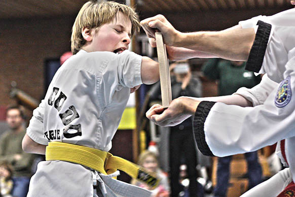 Main image of Tang Soo Do vereniging Hyeongje