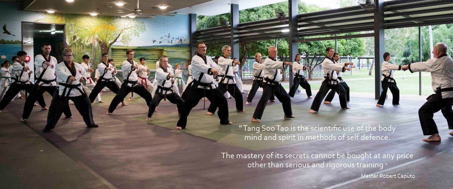 Main image of Tang Soo Tao Melbourne