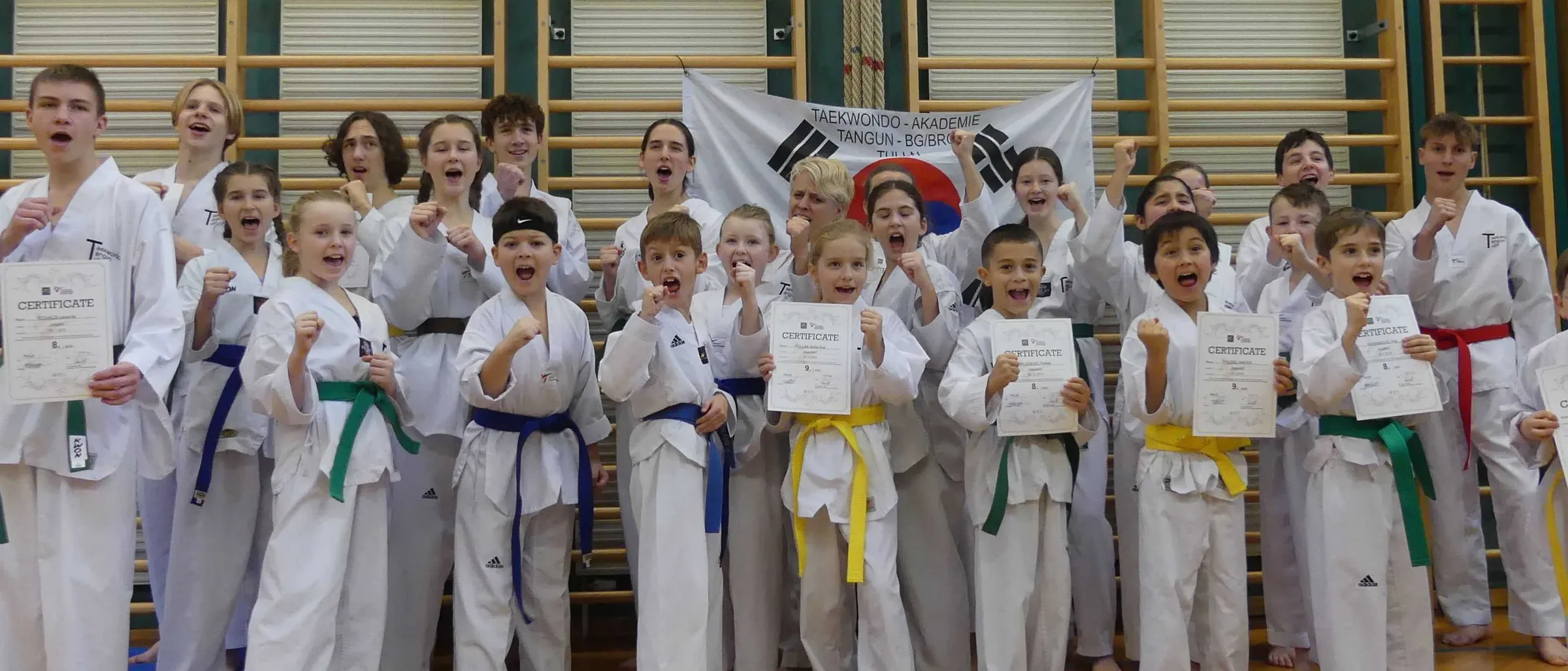 Main image of Tangun Taekwondo Club Tulln