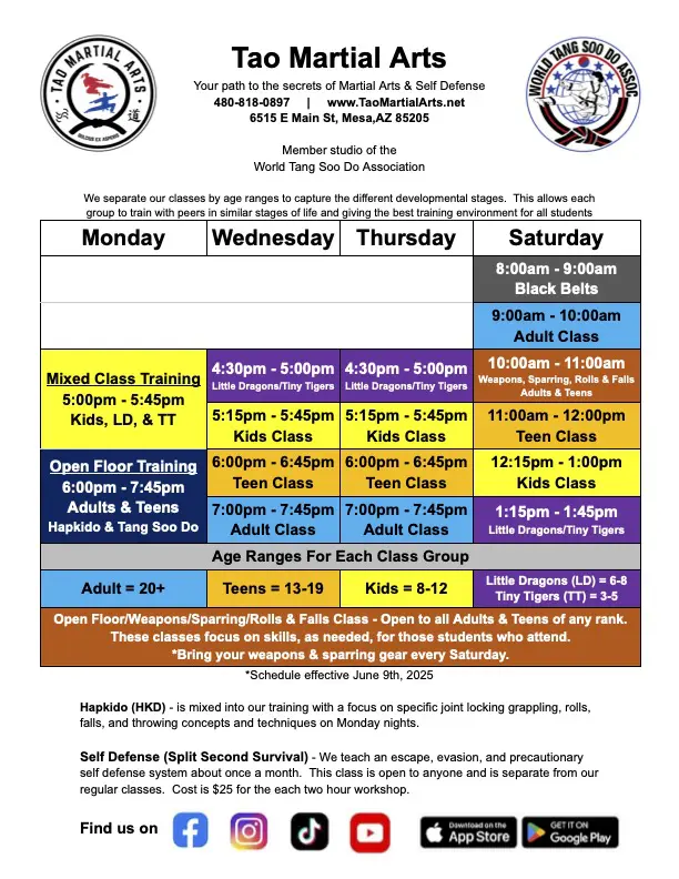 Main image of Tao Martial Arts