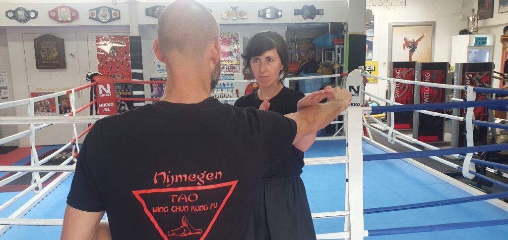 Main image of Tao Wing Chun Kung Fu