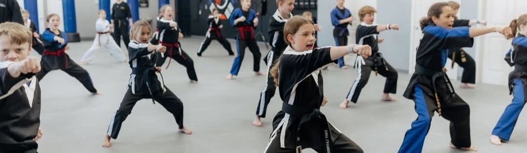 Main image of Taylor's Martial Arts Academy