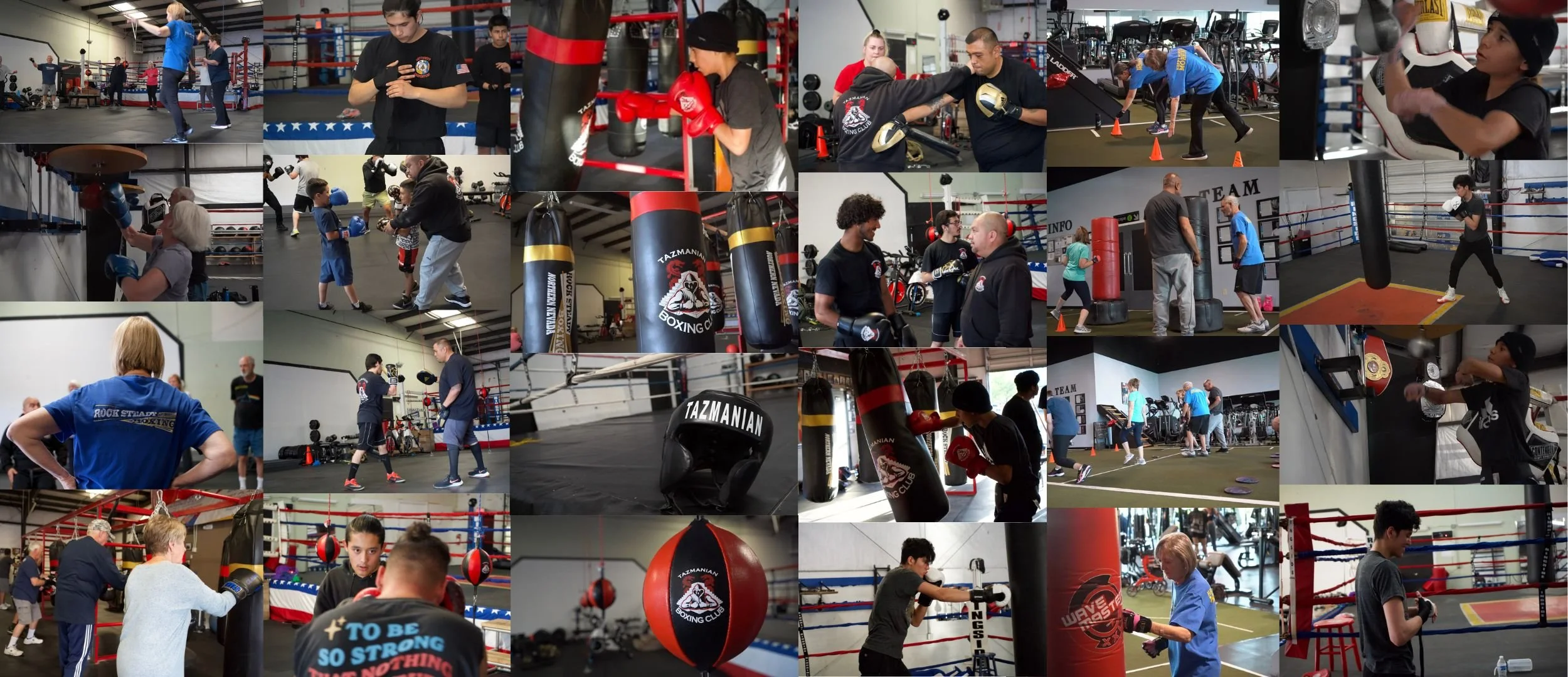 Tazmanian Boxing Club academy image