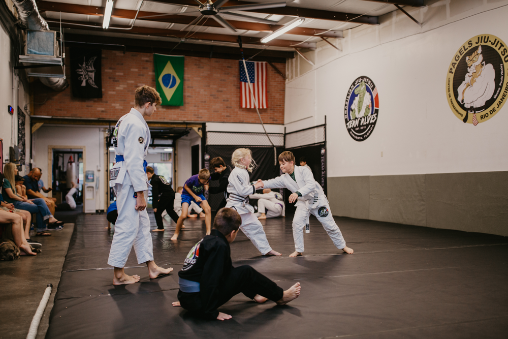 Main image of TEAM ALVES BRAZILIAN JIUJITSU