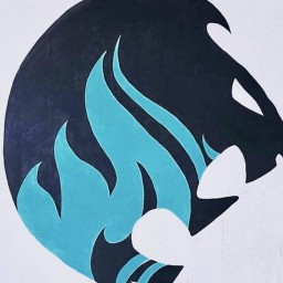 Main image of Team Cohi