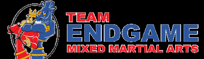 Main image of Team Endgame