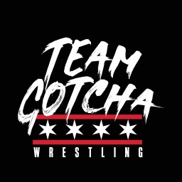Main image of Team Gotcha