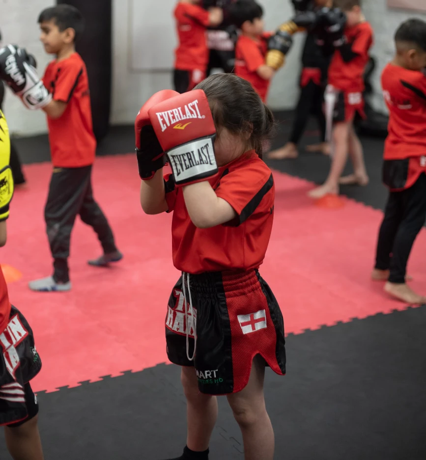 Team Hanson Martial Arts - Kickboxing & Muay Thai academy photo