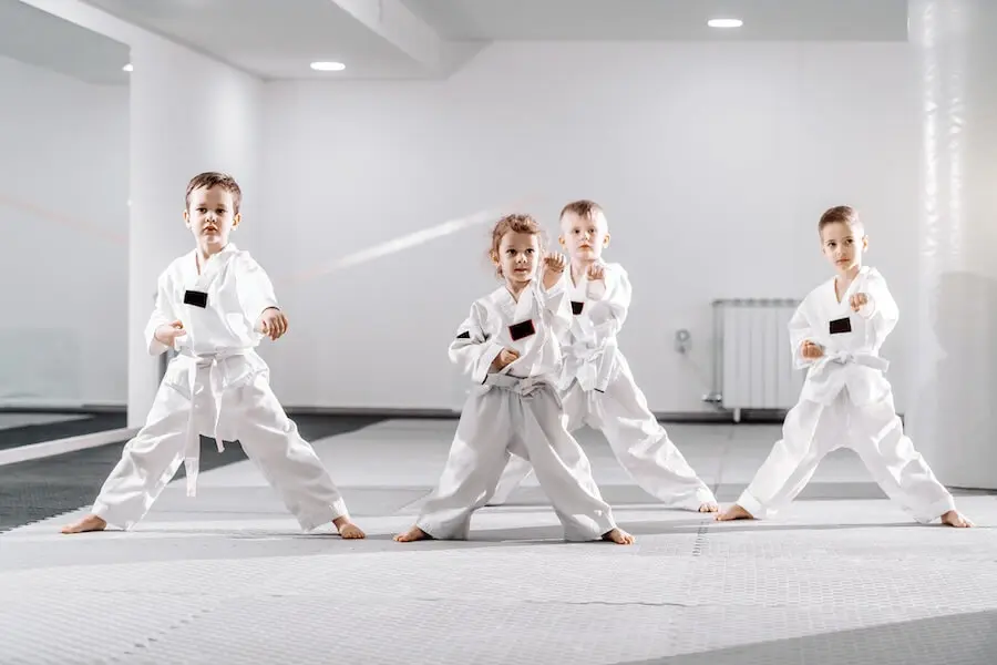 Main image of Team Kim's World Taekwondo
