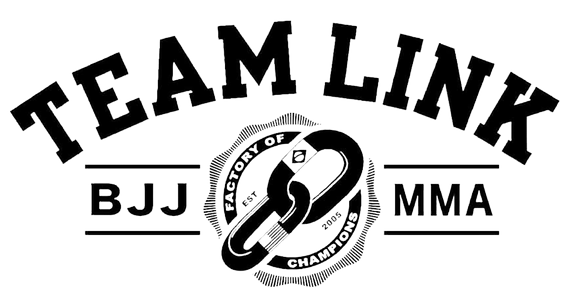 Main image of Team Link Webster BJJ and MMA