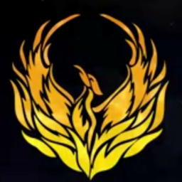 Main image of Team Phoenix