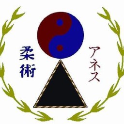 Main image of Team Ramsey Jujitsu