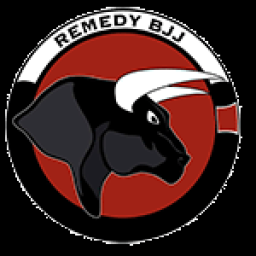 Main image of Team Remedy Brazilian Jiu jitsu, kickboxing, and MMA