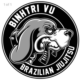Main image of Team Vu