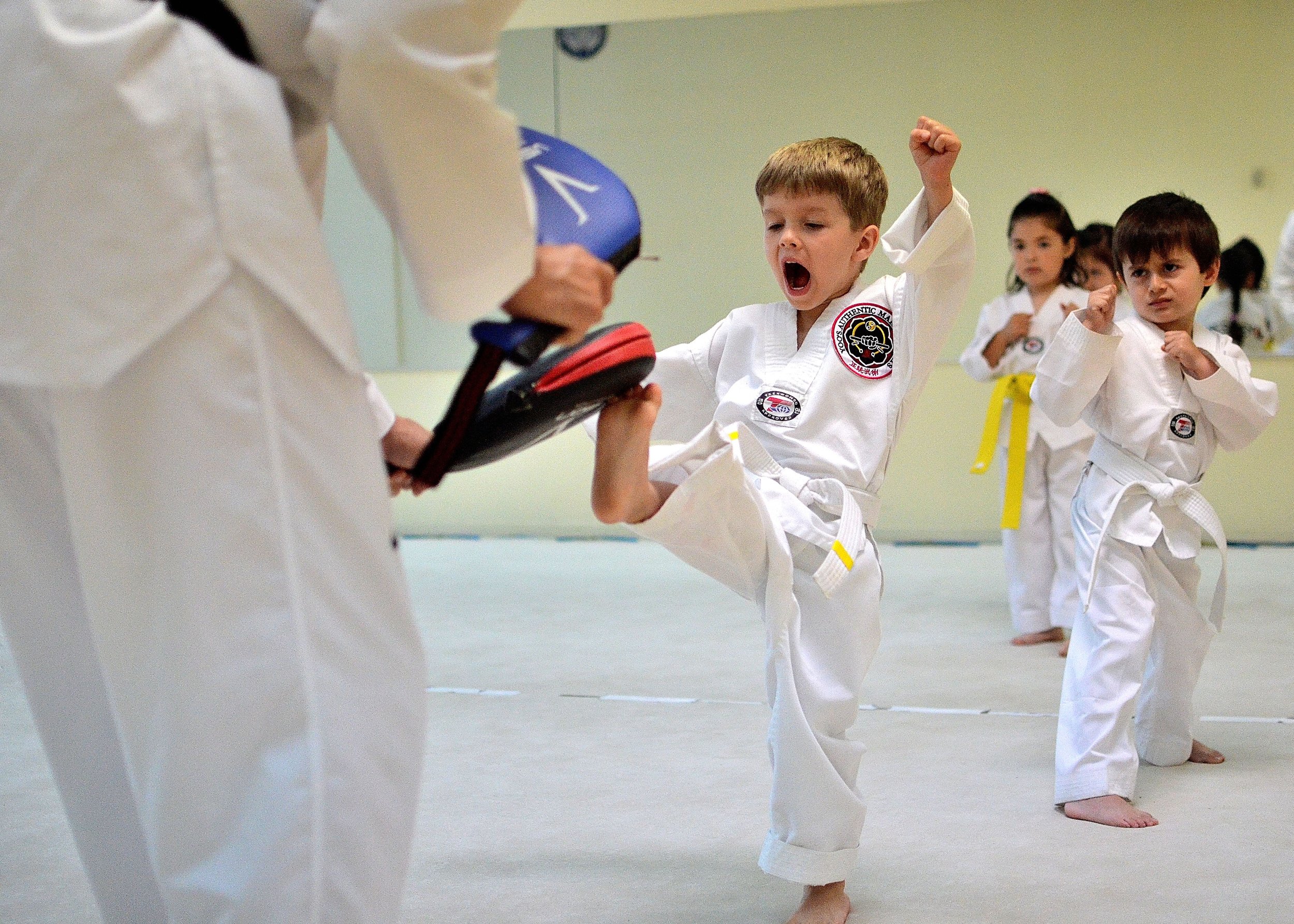 Main image of Team Yoo Taekwondo