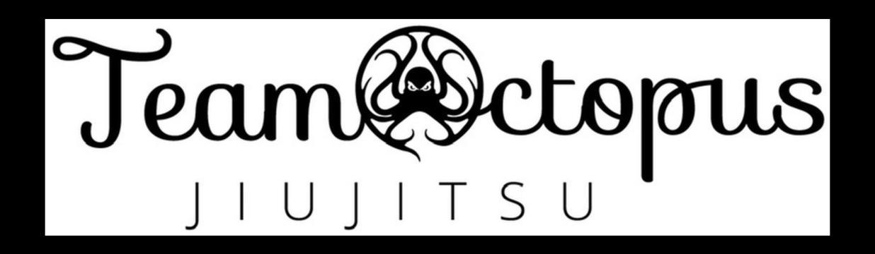 Main image of TeamOctopusLv