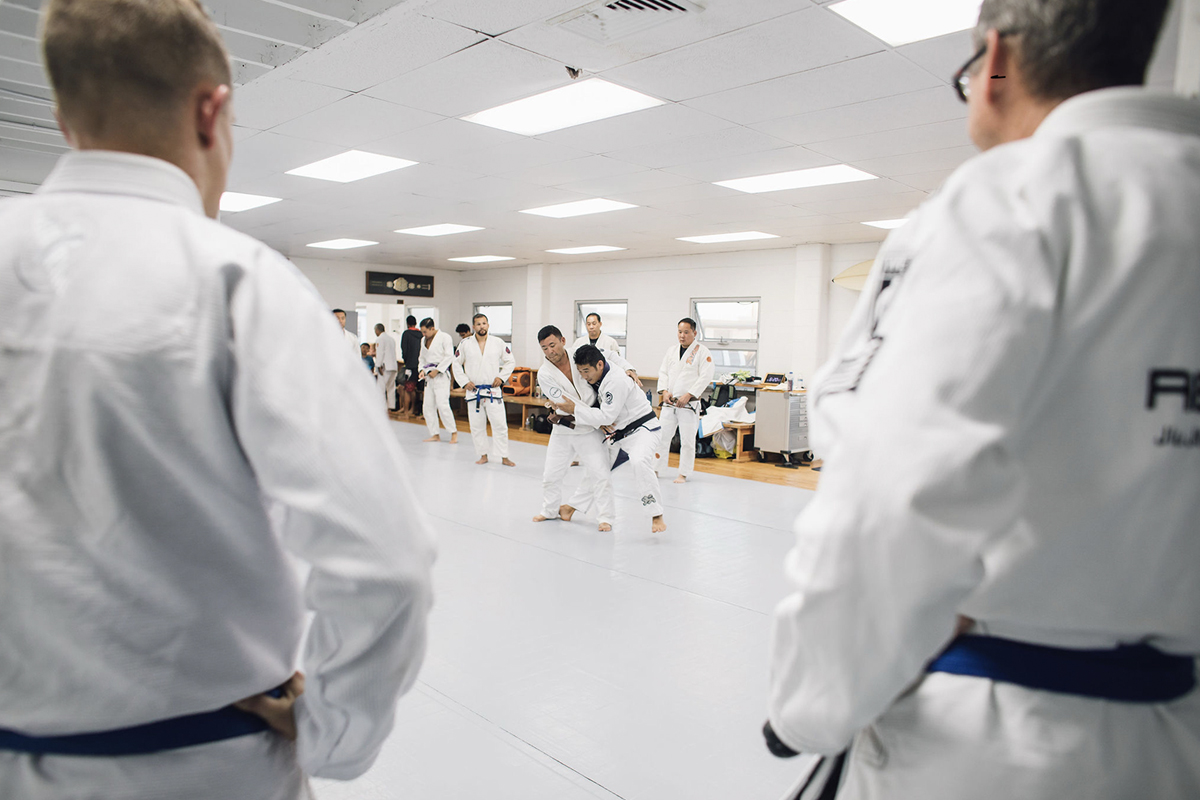 Main image of Technics Jiu-Jitsu