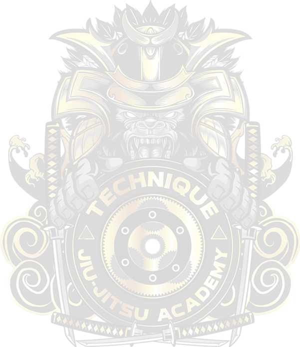Technique Jiu-Jitsu Academy