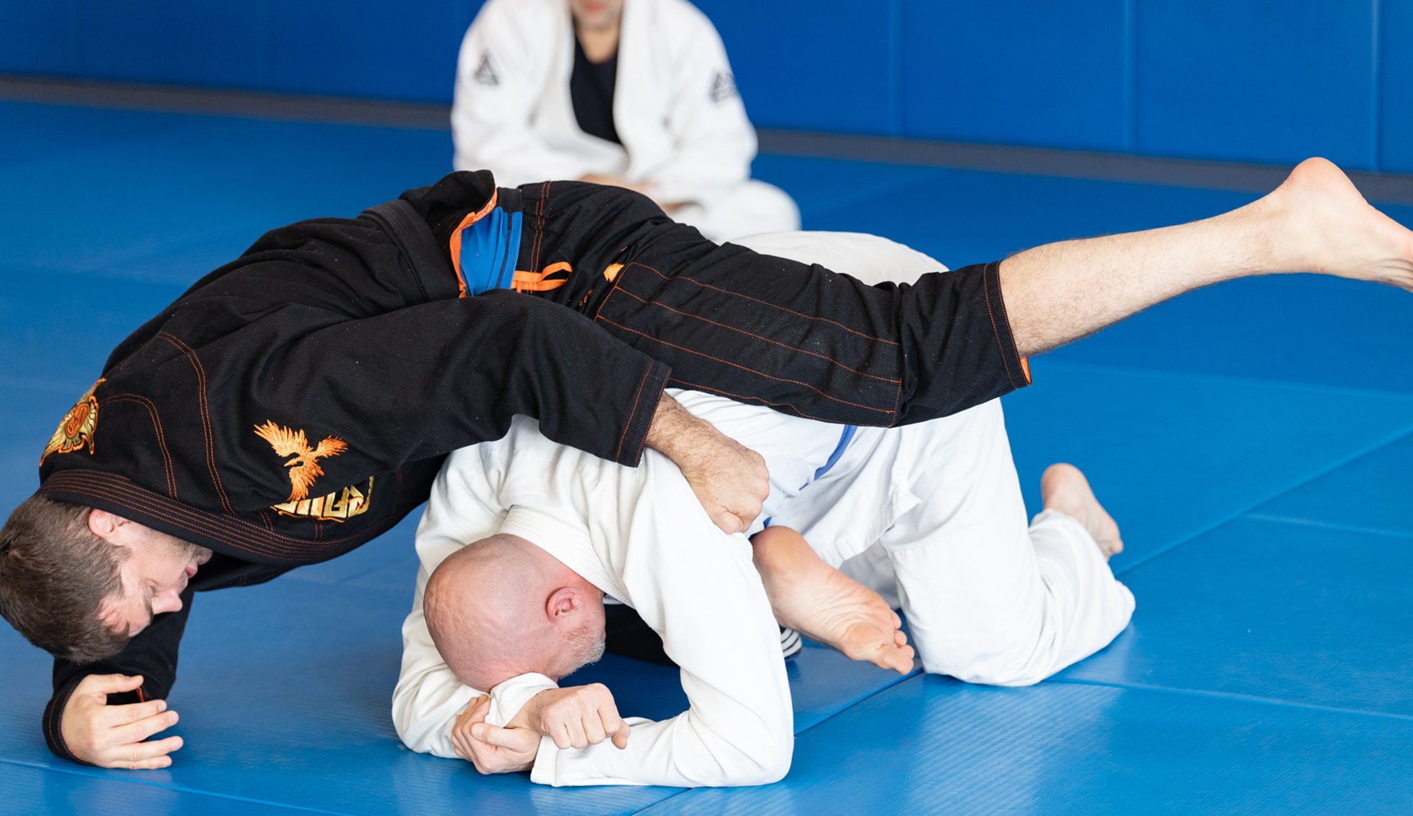 Main image of Technique Jiu Jitsu