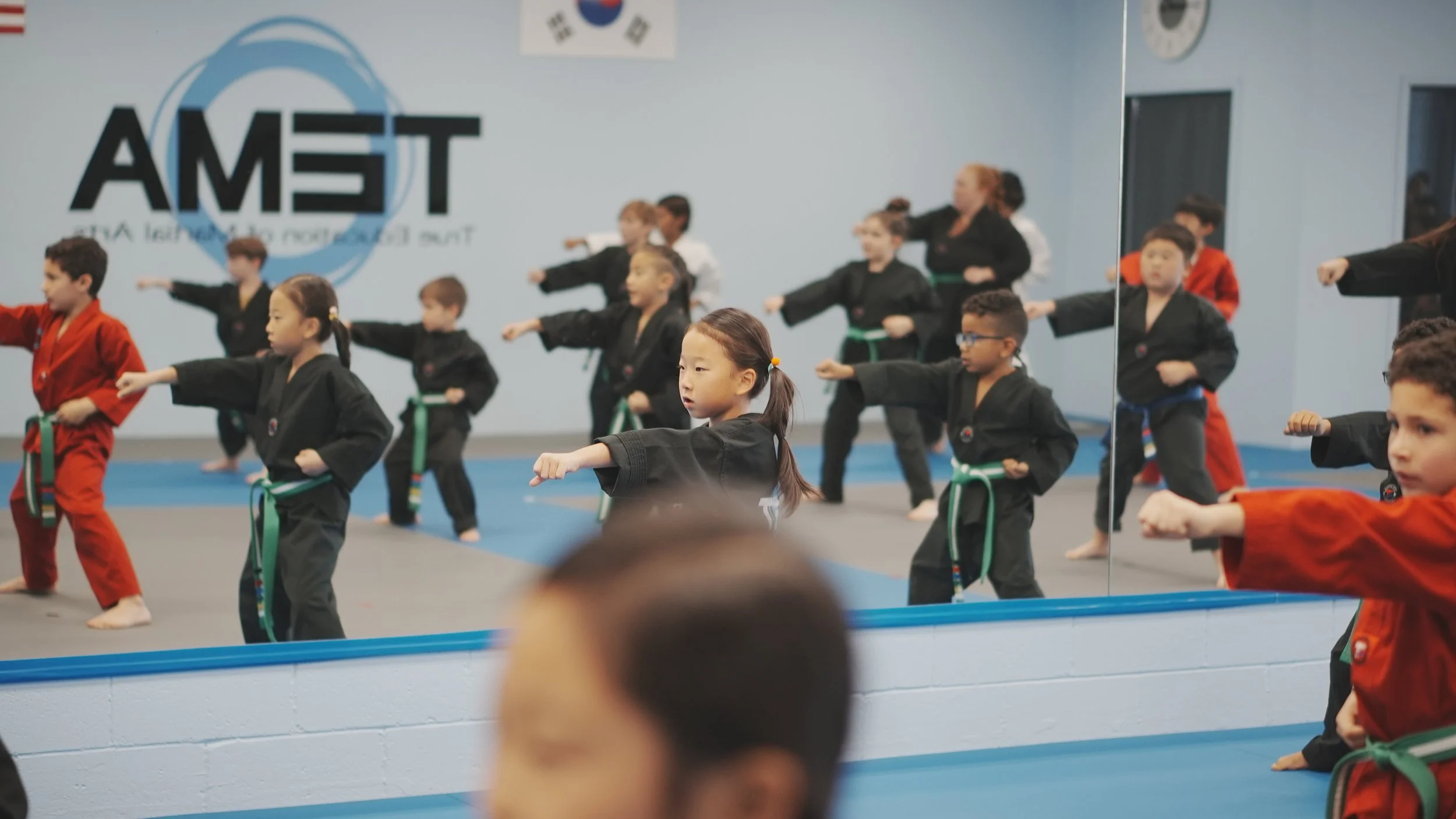 TEMA - True Education of Martial Arts