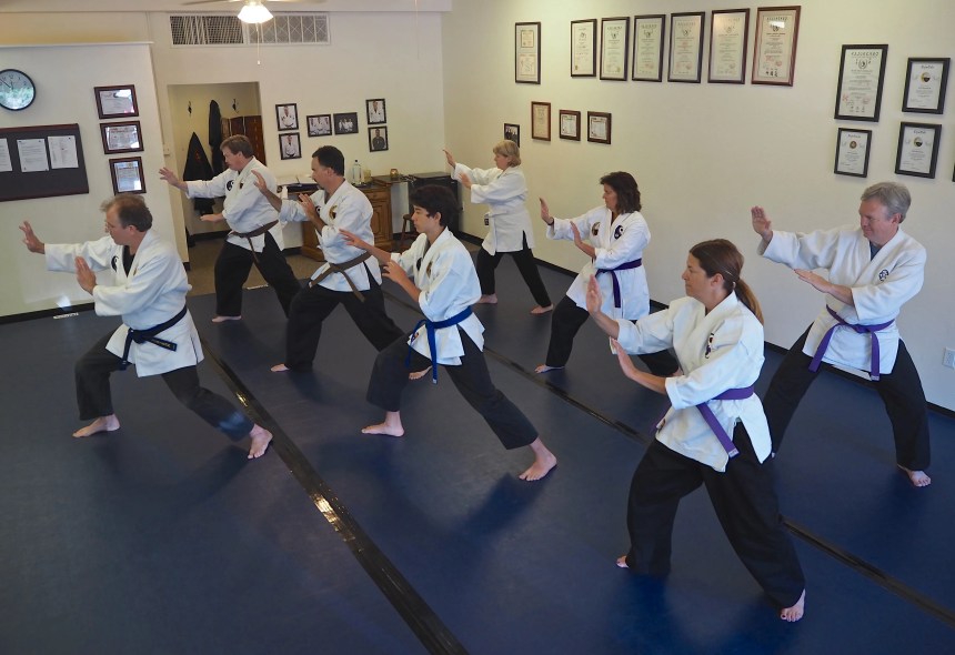 Main image of Tenchi One Martial Arts