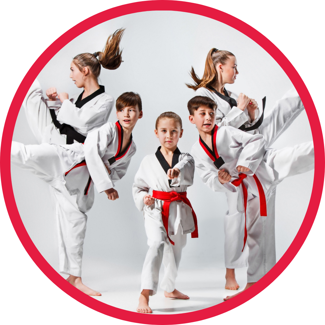 Main image of Tennessee Taekwondo Judo College (TTJC)