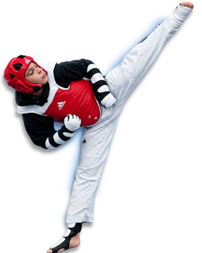Main image of Tennessee Taekwondo