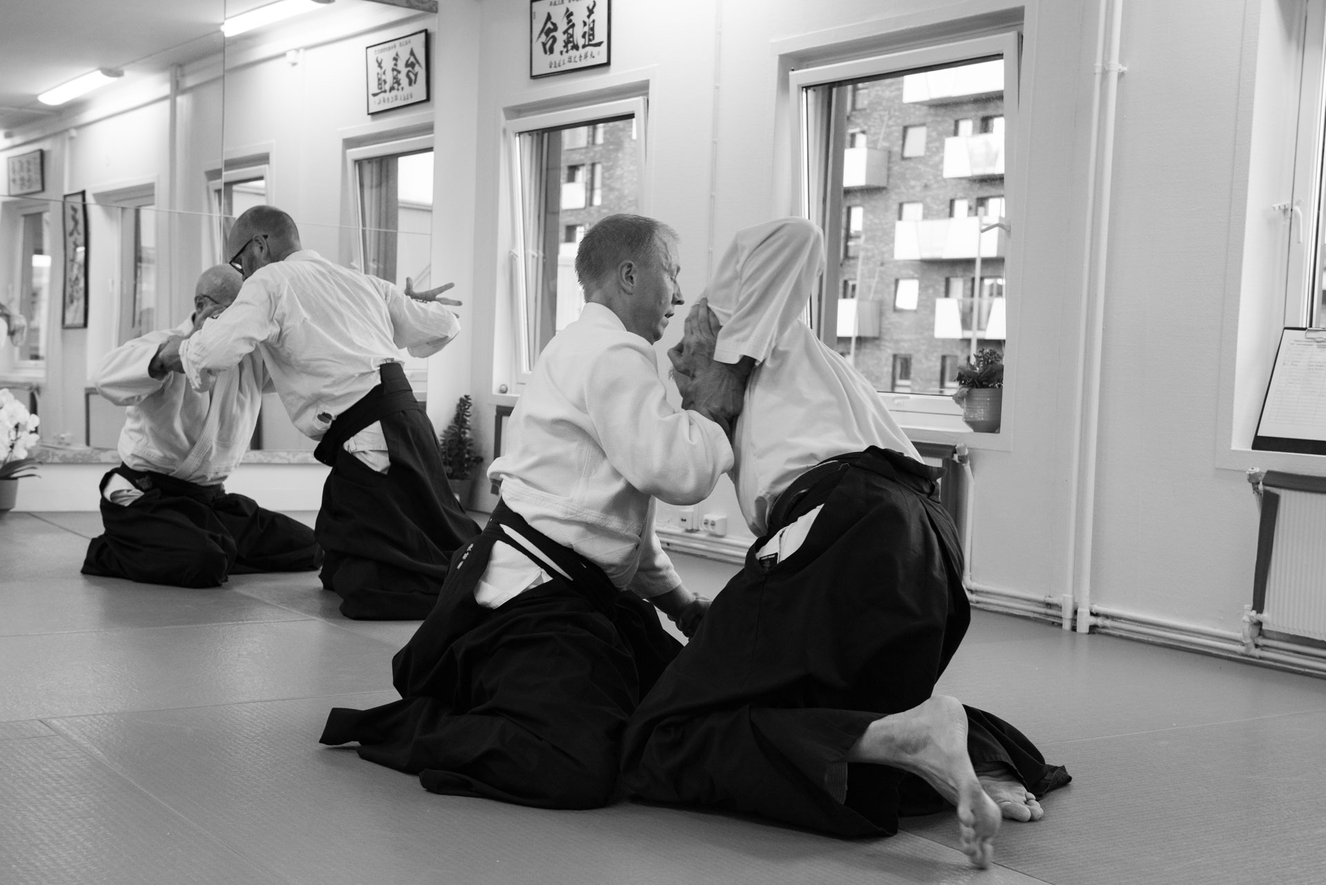 Main image of Tenshinkan Aikido