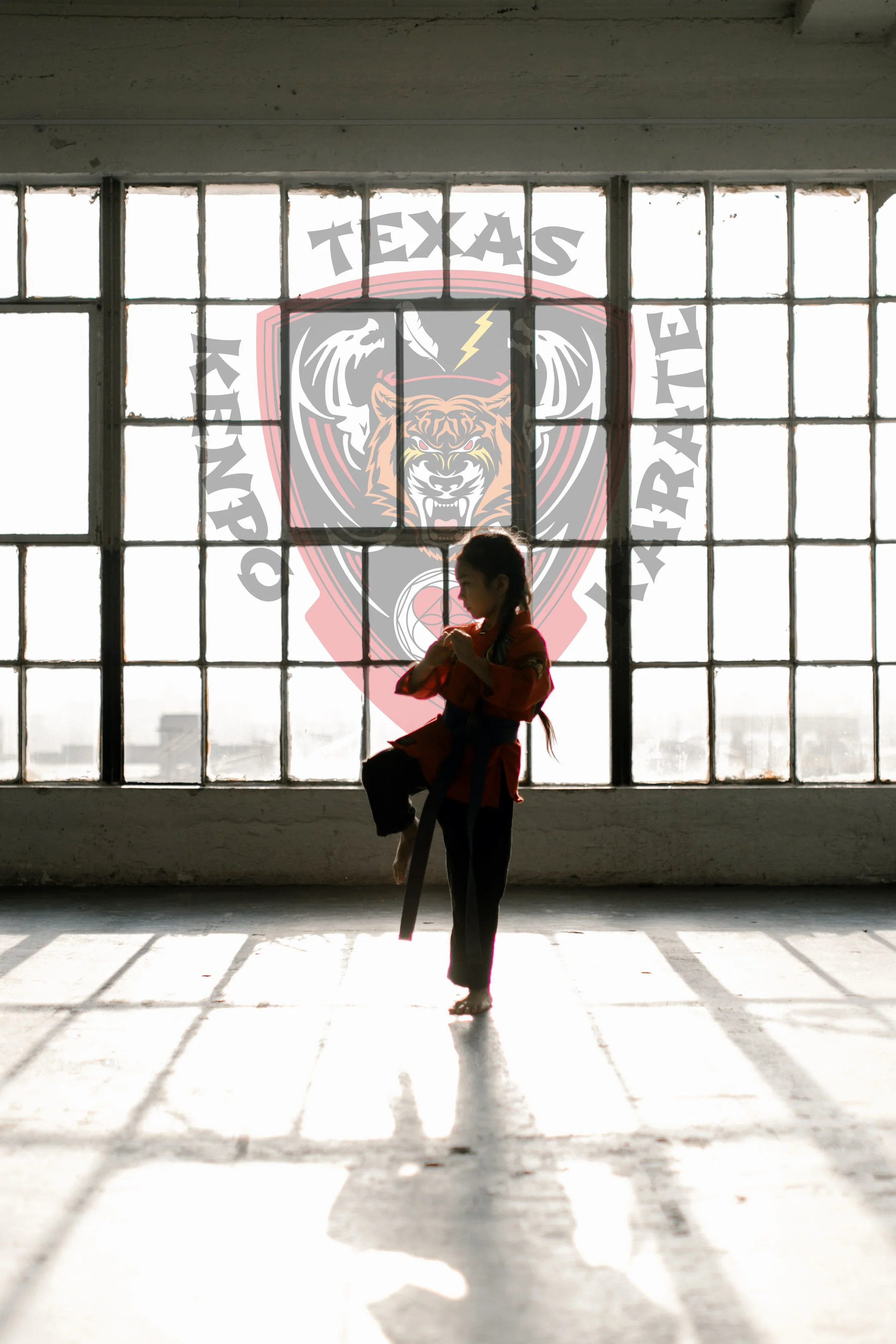 Main image of Texas Kenpo Karate