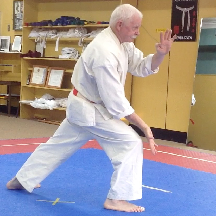 Main image of The ARK Traditional Karate