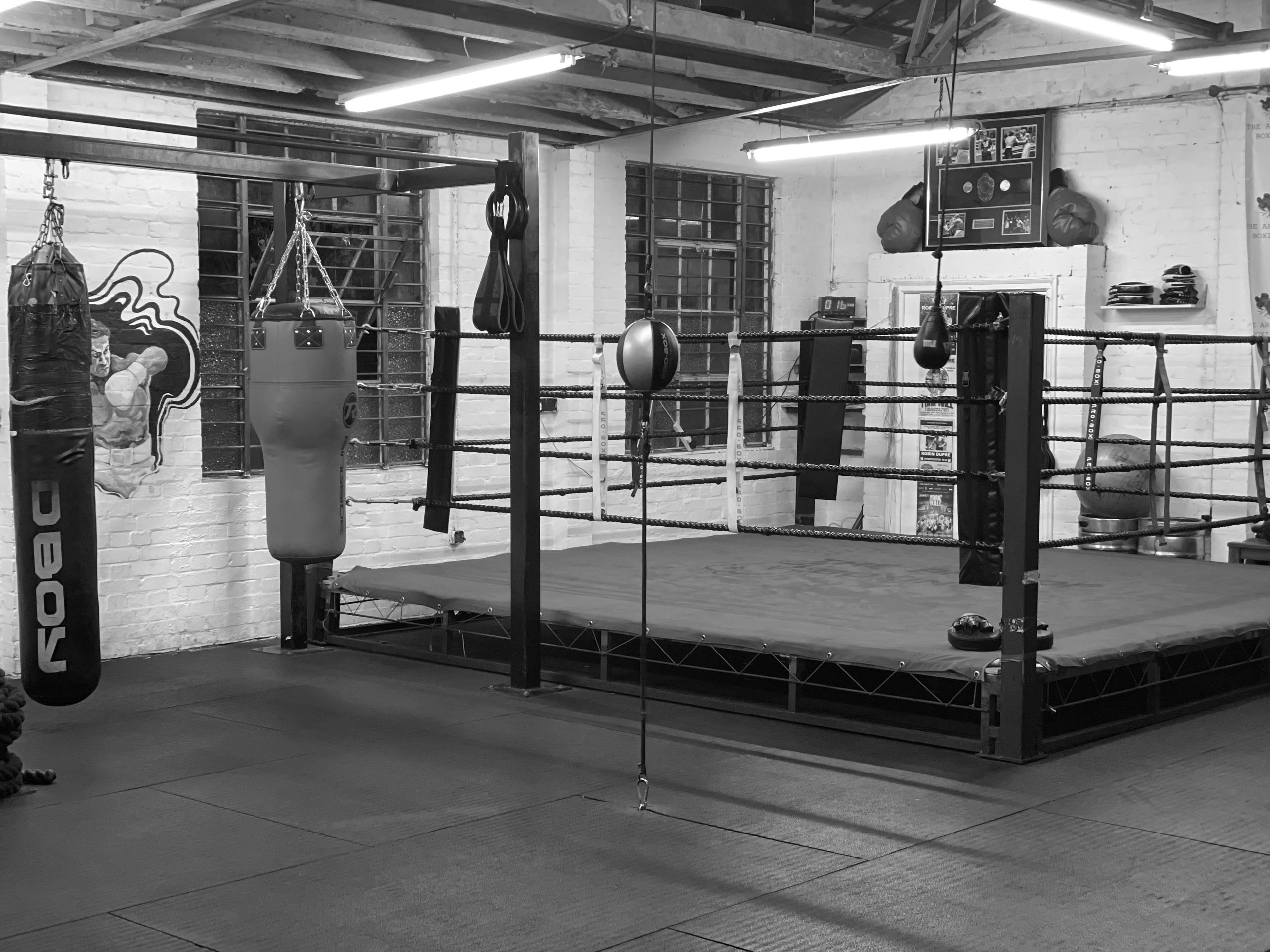 Main image of The Art of Boxing