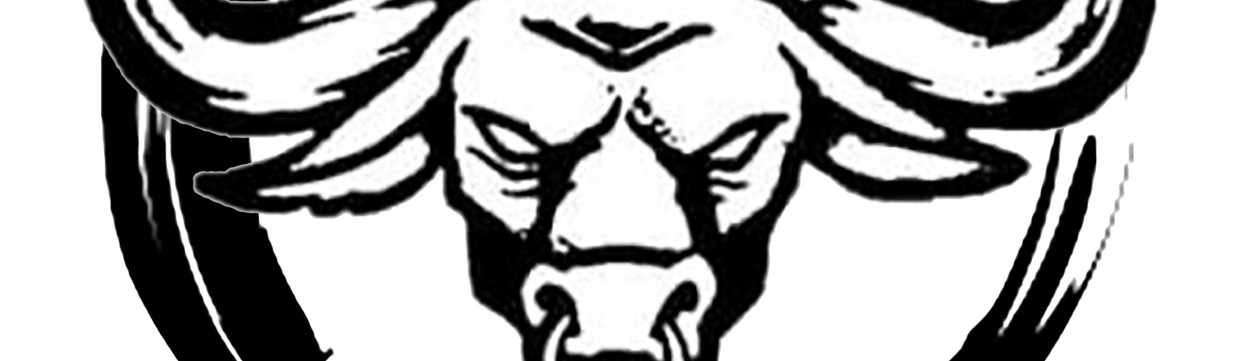 Main image of The Barn Brazilian Jiu Jitsu Club