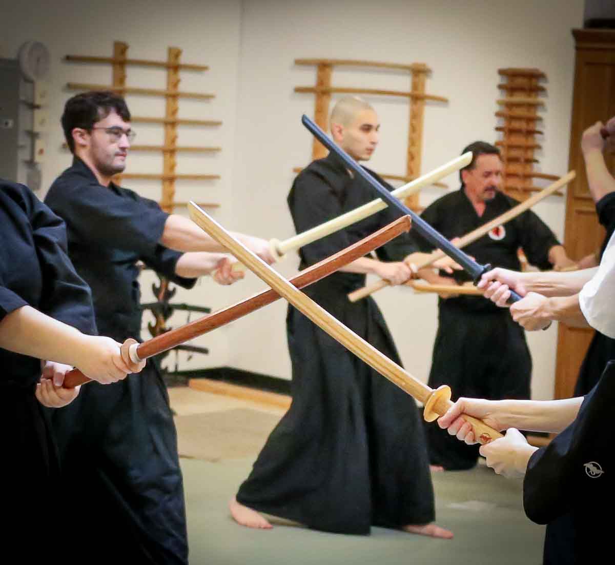 Main image of The Budo Academy