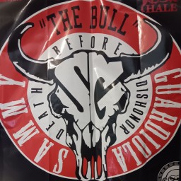 Main image of The Bulls den