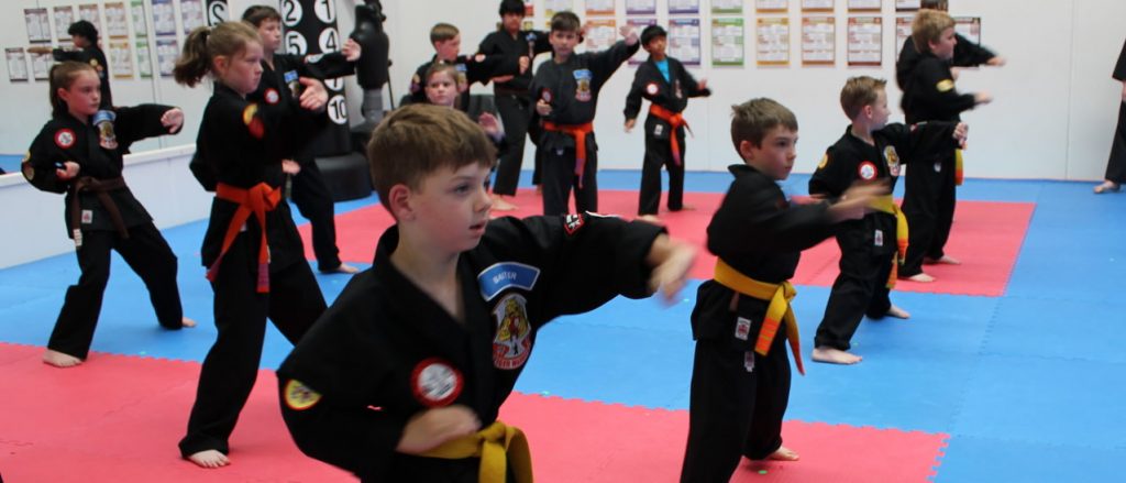 Main image of The Dojo Braeside