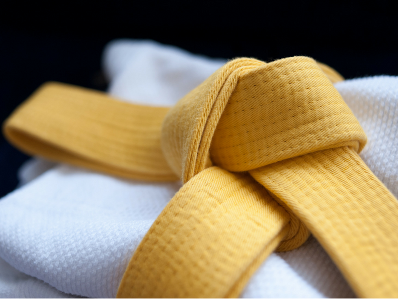 Main image of The Dojo - Perry's Martial Arts
