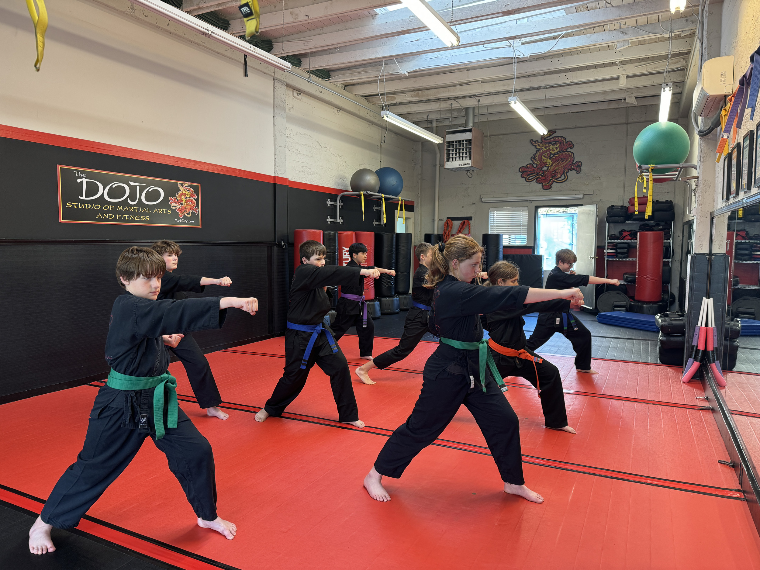 Main image of The Dojo
