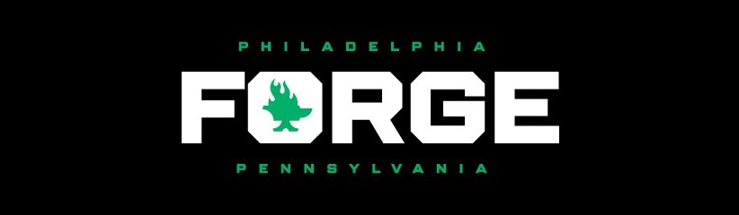 Main image of The Forge MMA