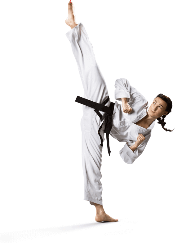 Main image of The Ganster Karate System