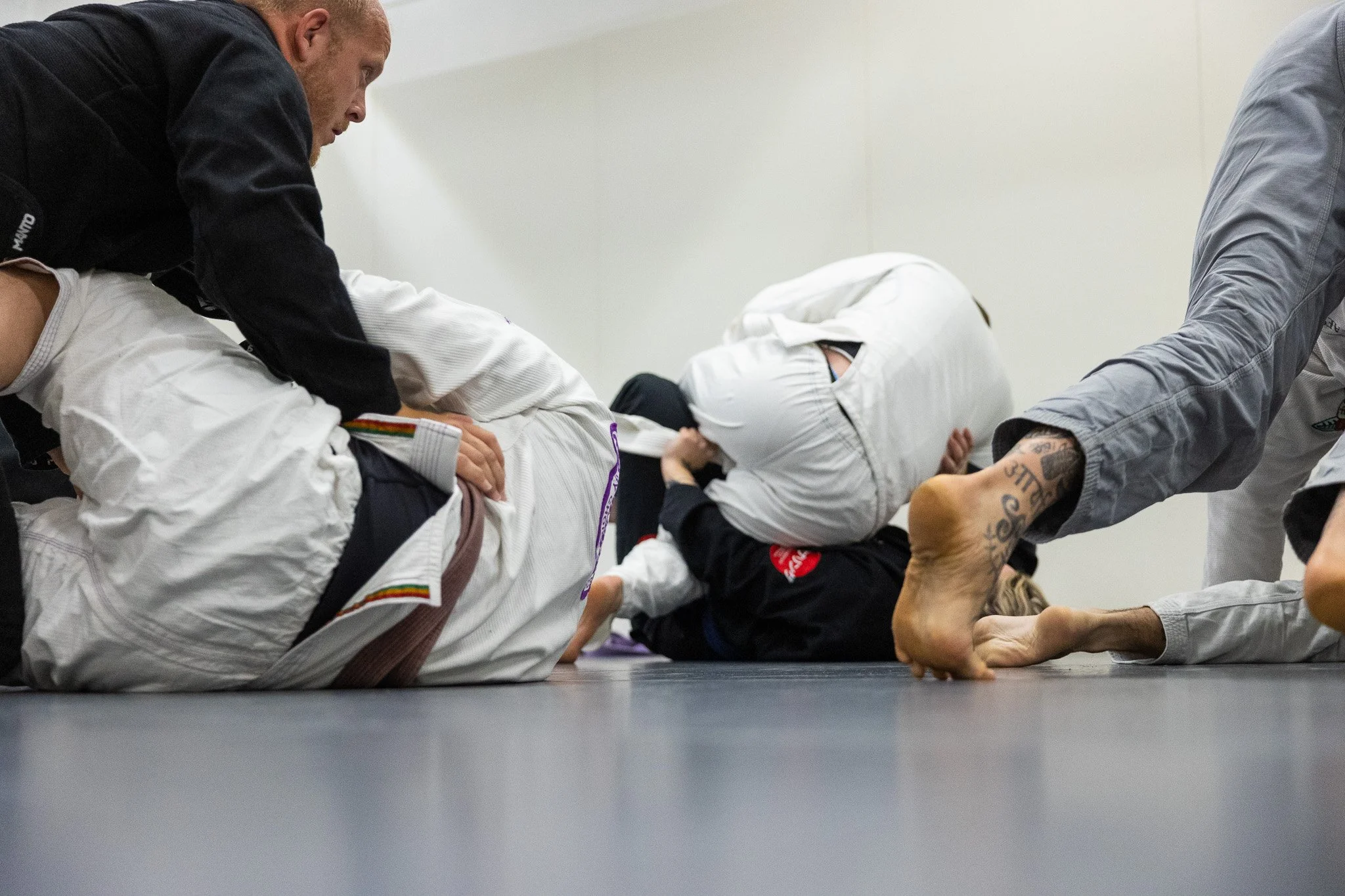 Main image of The Grappling Lab