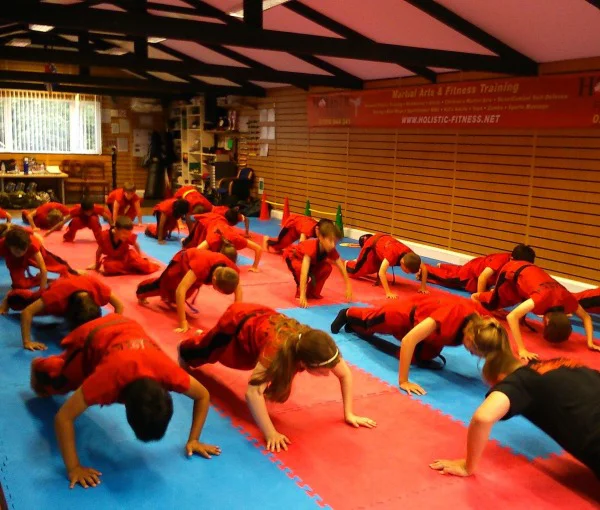 Main image of The Holistic Fitness Studios